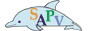 SAPV HOMEPAGE